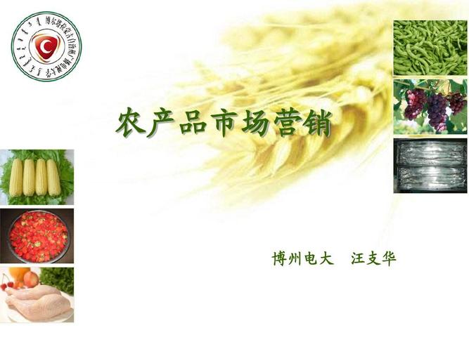 农产品市场营销策略PPT策划方案