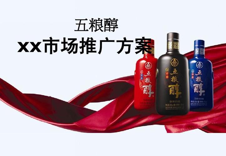 《醇香入市，智胜中端——五粮醇XX市场推广方案》