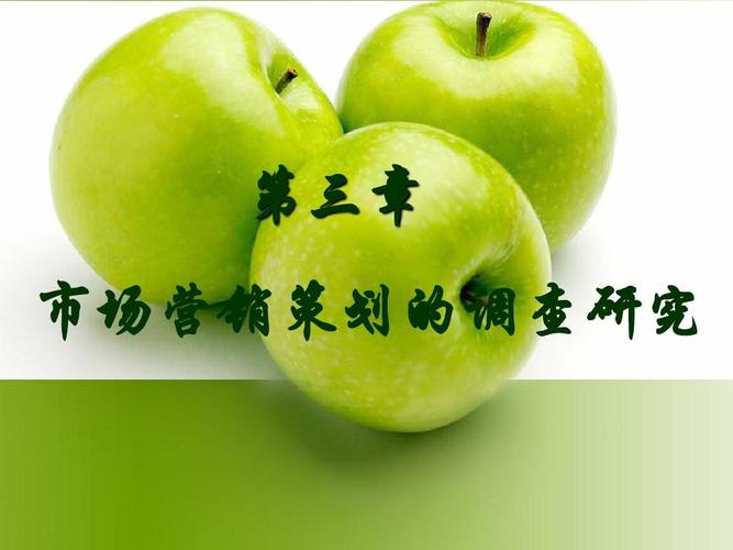 市场营销策划中的调查研究 从洞察到行动